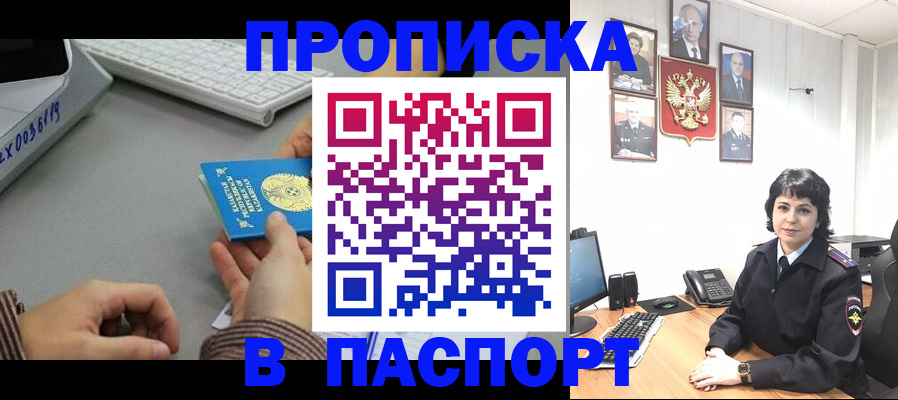 прописка в Борзе